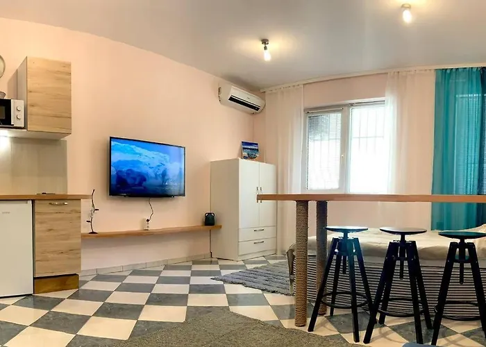 Hippocampus * Варна